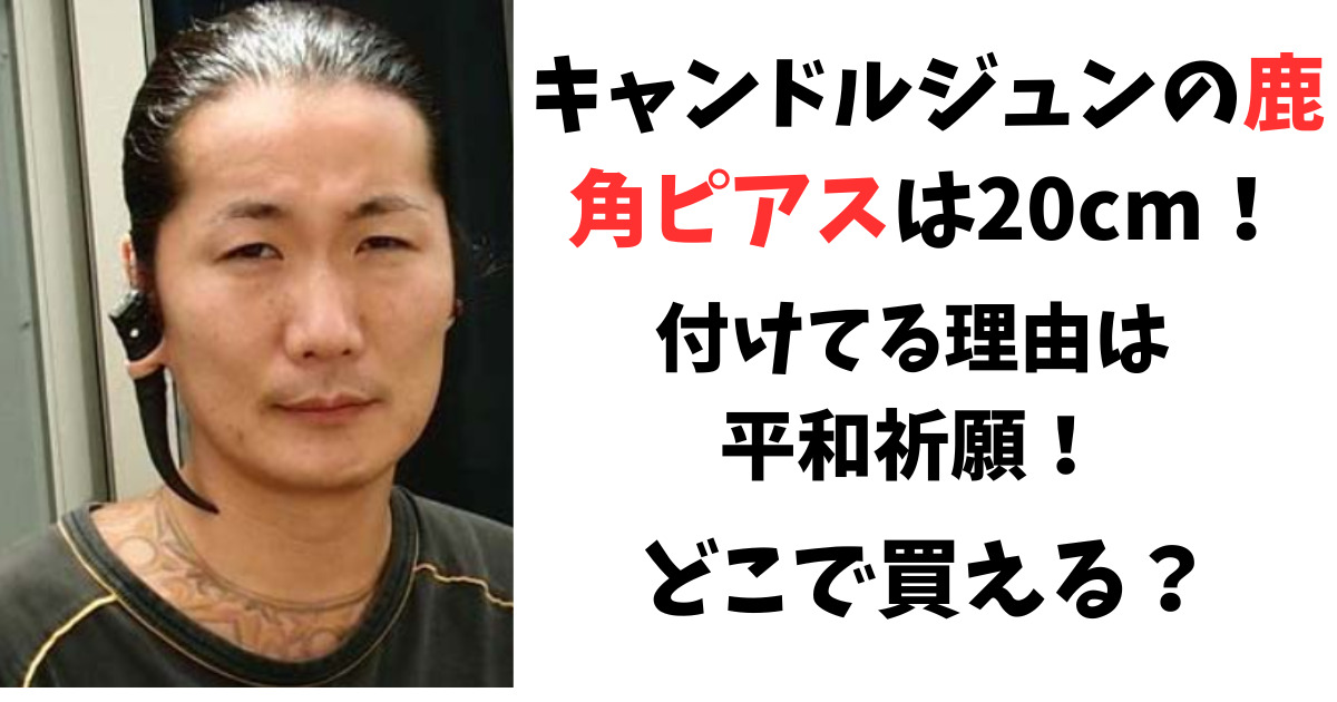 キャンドルジュンの耳の鹿角ピアスは20cm！付けてる理由は平和のため